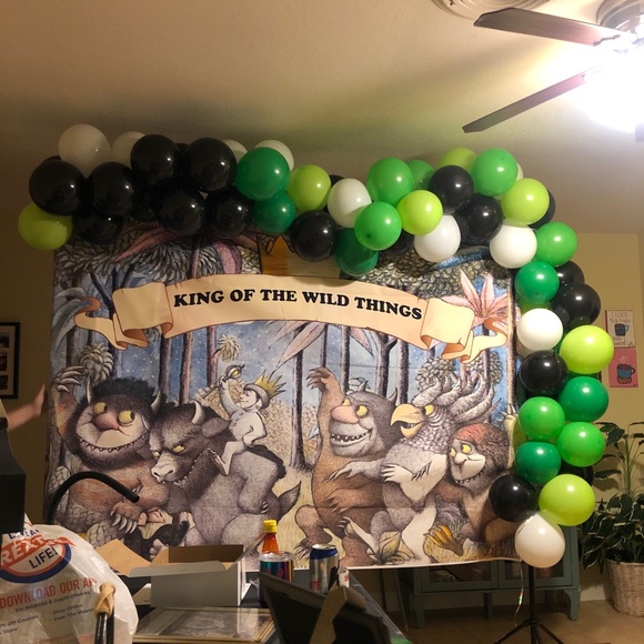 Backdrop - Picture 2 of 2